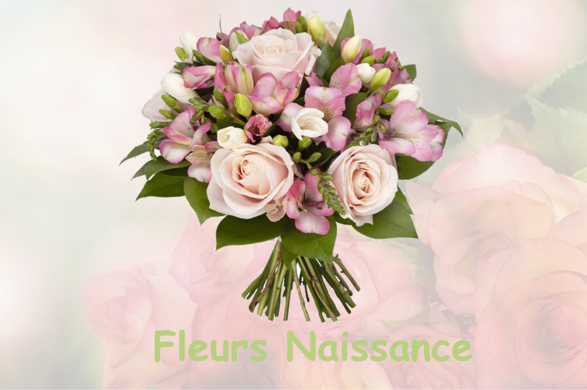 fleurs naissance ROCHETOIRIN