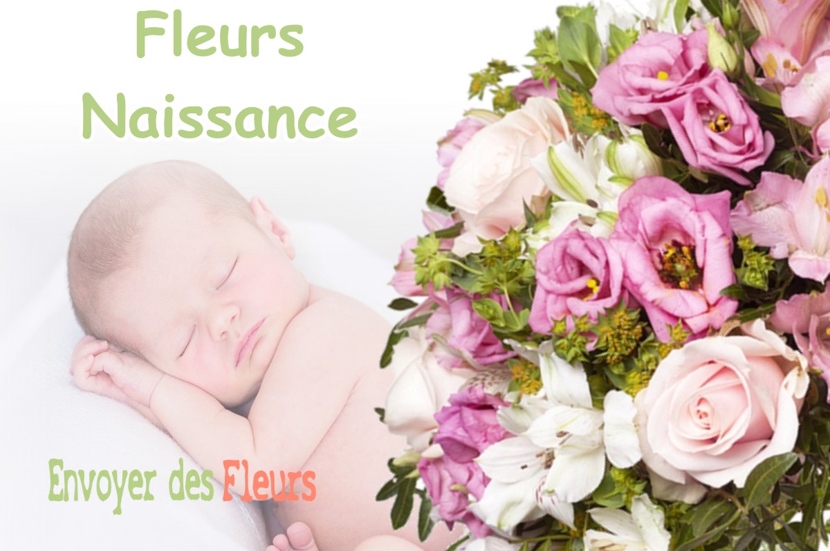 lIVRAISON FLEURS NAISSANCE à ROCHETOIRIN